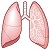 呼吸器の病気について